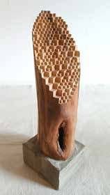 Naked Street Tree, 2026, by Jos Prol. Salvaged wood.