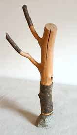 Beech Memory 7, 2025, by Jos Prol. Salvaged wood.